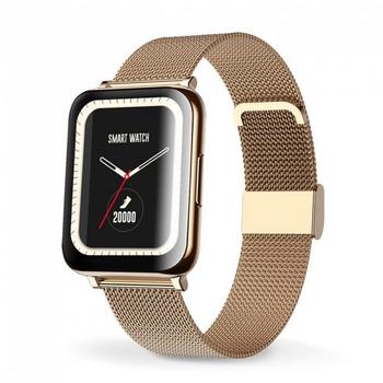 Chytré hodinky ALIGATOR Watch Life (Y65), zlaté (gold)