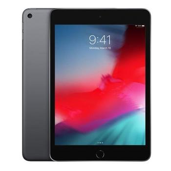 iPad mini Wi-Fi + Cellular 256GB - Space Grey