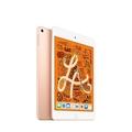 iPad mini Wi-Fi + Cellular 256GB - Gold