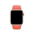 Apple Watch 44mm Clementine Sport Band - S/M & M/L