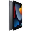 iPad Wi-Fi 256GB - Space Grey