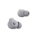 Beats Studio Buds – Wireless NC Earphones – Grey