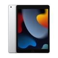 Apple iPad/WiFi/10,2''''/2160x1620/256 GB/iPadOS15/Silver
