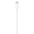 USB-C to Lightning Cable (2 m)