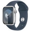 Obrázek k produktu: APPLE Watch Series 9 41mm Stříbrný