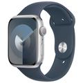 Obrázek k produktu: APPLE Watch Series 9 45mm Stříbrný