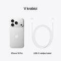 Apple iPhone 18 Pro/2TB/Silver
