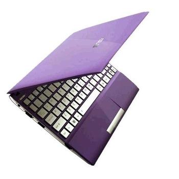 Notebook ASUS Eee 1025CE-PUR023S, fialový (purple)