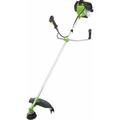 Obrázek k produktu: Fieldmann FZS 5003-B, zelená/černá (green/black)
