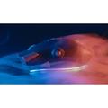 Marvo MyÄŹĹĽËť G960, 9000DPI, optika, 12tl., 1 koleÄŹĹĽËťko, drÄŹĹĽËťtovÄŹĹĽËť USB, ÄŹĹĽËťernÄŹĹĽËť,