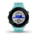Garmin GPS sportovní hodinky Forerunner 55 Blue