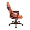 PROVINCE 5 Junior Gaming Chair Dragonball Z