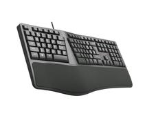 Obrázek k produktu: C-TECH KB-113E