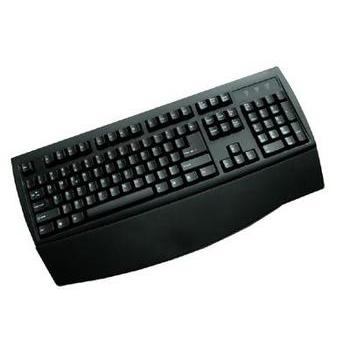 Klávesnice CHICONY KBP-2971,  černá (black)