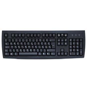 Klávesnice CHICONY KB-2971, černá (black)