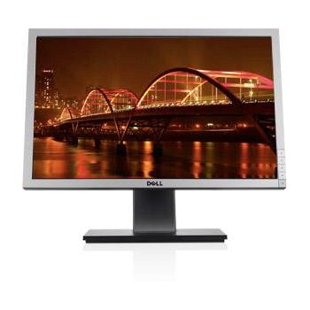 22" LCD monitor DELL Professional P2210, stříbrný (silver)