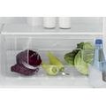 ELECTROLUX ERF2404FOW CHLADNIČKA JEDNODVEŘOVÁ - Partner (7790)