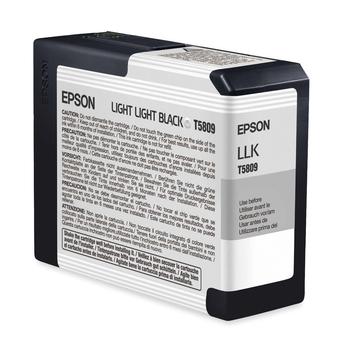 Inkoustová náplň EPSON T580900 light light black
