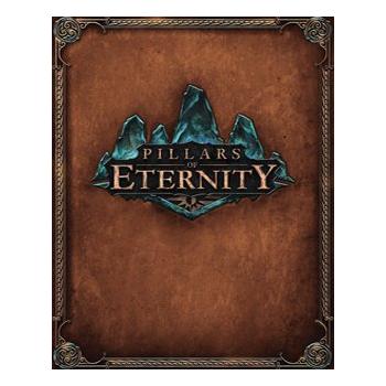 Hra na PC ESD GAMES Pillars of Eternity