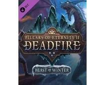 Obrázek k produktu: ESD GAMES Pillars of Eternity 2 Deadfire Beast of Winter