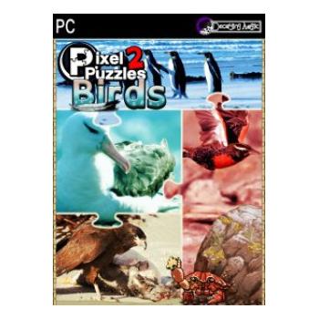 Hra na PC ESD GAMES Pixel Puzzles 2 Birds