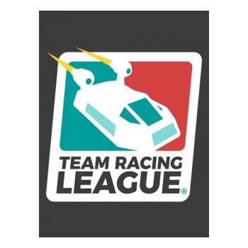 Hra na PC ESD GAMES Team Racing League
