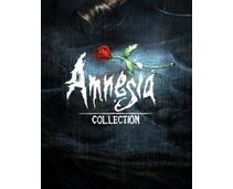 Obrázek k produktu: ESD GAMES Amnesia Collection