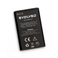 Obrázek k produktu: EVOLVEO EasyPhone EP-500