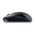 Myš GENIUS DX-110 31010116107 černá (black)
