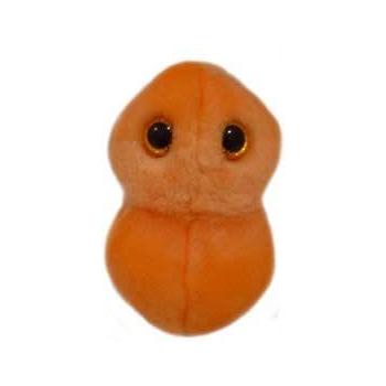 Plyšová hračka ve tvaru mikroba GIANTmicrobes Zánět ucha (Streptococcus pneumoniae)