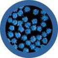 Plyšová hračka ve tvaru mikroba GIANTmicrobes Běžná rýma (Rhinovirus)