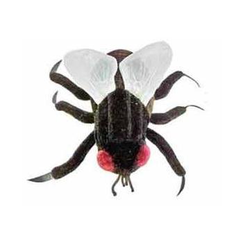 Plyšová hračka ve tvaru mikroba GIANTmicrobes Moucha domácí (Musca domestica)
