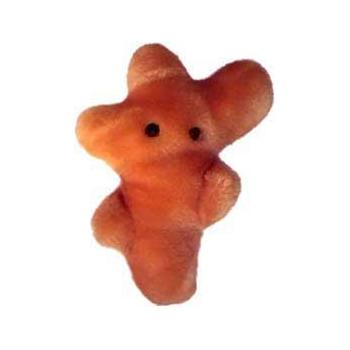 Plyšová hračka ve tvaru mikroba GIANTmicrobes  Atletická noha (Trichophyton mentagrophytes)