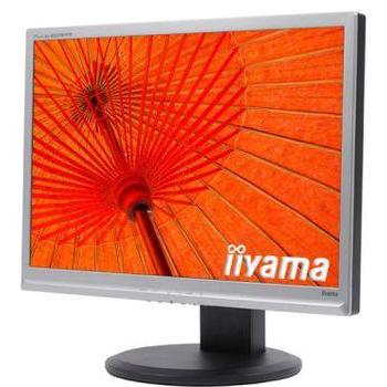 22" LCD monitor iiYAMA B2206WS-S