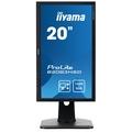 20" LCD monitor iiYAMA B2083HSD-B1 černý (black)