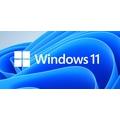 MS Win 11 Pro GGK 64-bit Eng 1pk OEM DVD leg