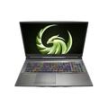 MSI Alpha 17.3''''FHD/Ryzen7 4800H/16/512+1T/RX5600/W10H