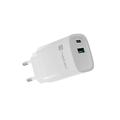 Universální USB nabíječka Natec RIBERA GaN 30W, 1X USB-A, 1X USB-C, Bílá