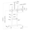 NewStar mobilní stojan na obrazovku 60-100'', VESA 400x400 až 1000x600 mm, 100kg, černý