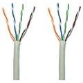 OEM  kabel UTP lanko (licna) 1m