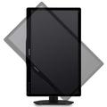 19,5'' LED Philips 200S4LYMB-1600x900,VGA,DP,rep,pi