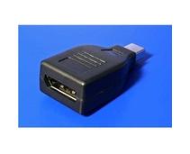 Obrázek k produktu: ROLINE  DisplayPort na mini DisplayPort