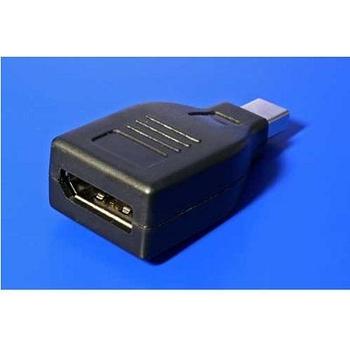  ROLINE DisplayPort na mini DisplayPort