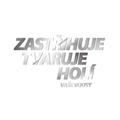 Zastřihávač vousů Rowenta TN6000