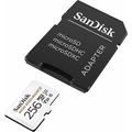 Obrázek k produktu: SANDISK microSDXC 256GB High Endurance