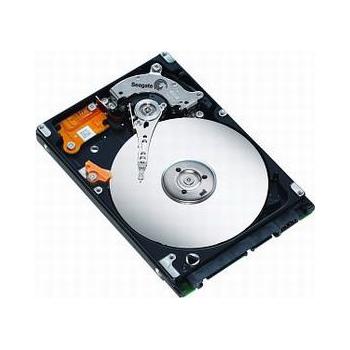 Pevný disk SEAGATE Momentus 7200.2 80GB, ST980813AS