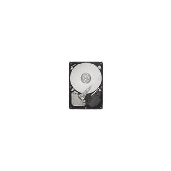 Pevný disk SEAGATE Barracuda 7200.12 320GB, ST3320418AS