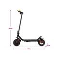 SCOOTER X20 OFF-ROAD SENCOR