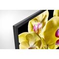 55" LED TV SONY BRAVIA KD-55XG8096