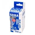 TESLA LED žárovka FILAMENT RETRO BULB/ E27/ 7W/ 230V/ 806lm/ 4000K/ denní bílá/ čirá